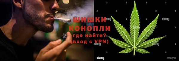 тгк Абаза