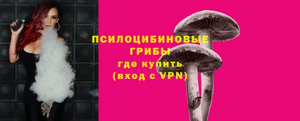 крисы Абдулино
