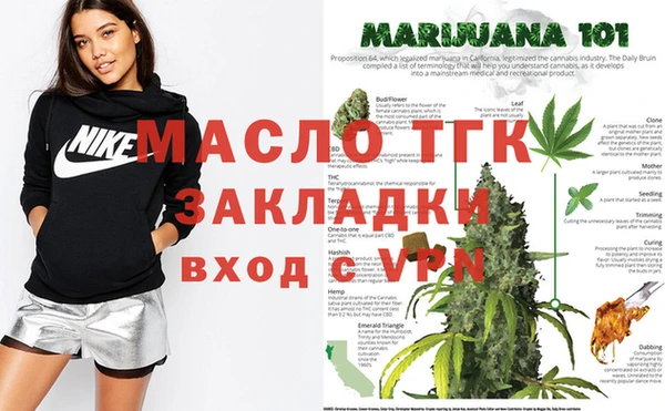 тгк Абаза