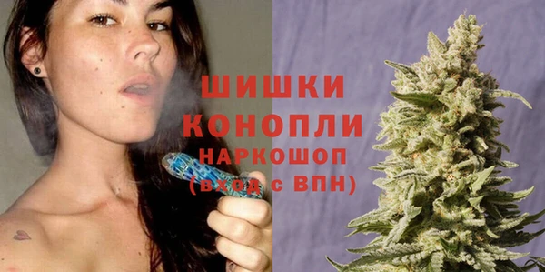 молекула духа Медногорск