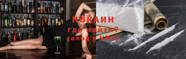 тгк Абаза