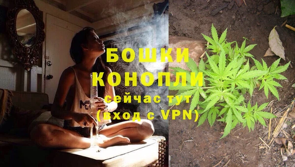 крисы Абдулино