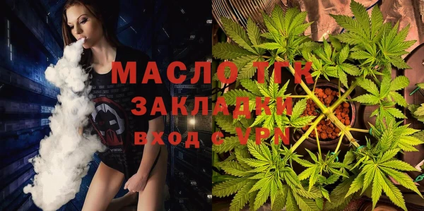тгк Абаза