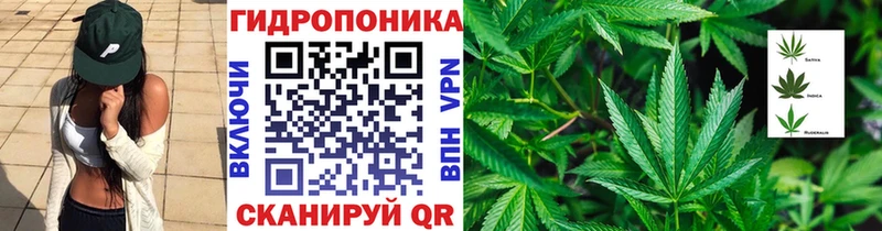 что такое наркотик  Юрга  Канабис OG Kush 